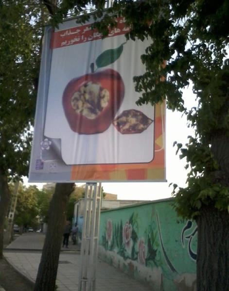 اقدامات فرهنگی اداره کل به مناسبت هفته ارتباطات و فناوری طلاعات