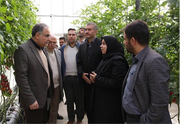 توافق برای توسعه گلخانه های هوشمند در استان زنجان