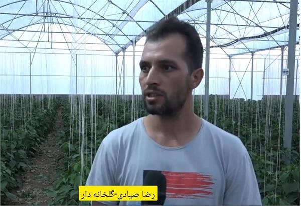 ارائه نمونه ای از به کارگیری ظرفیت فناوری ارتباطات و اطلاعات در کشاورزی هوشمند در استان زنجان